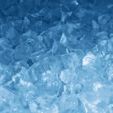 Profile image of Chilly