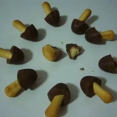 Profile image of ただのきのこ派の人間