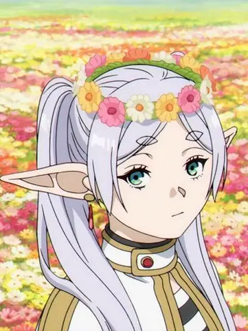 MeekElbow9950의 葬送のフリーレン