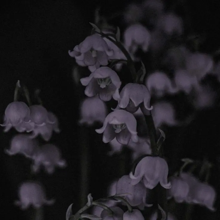 SuperbBack3921의 ストーカーパロ