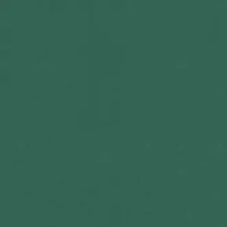 MintyDill3836의 生き別れ