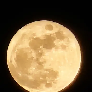 Profile image of 박서준