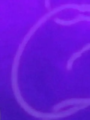 huga13의 憧れのあの人と