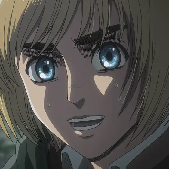 아르민 알레르토