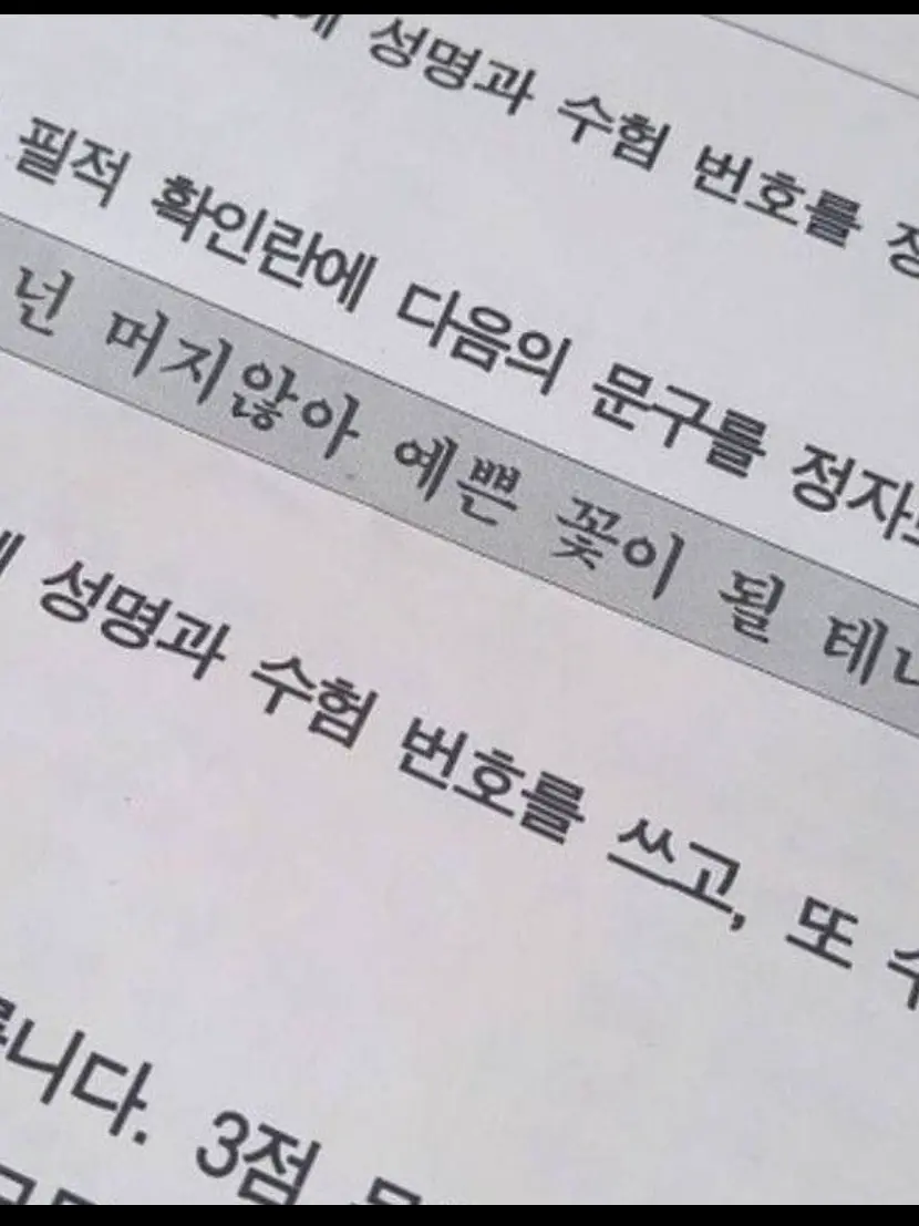 QuirkySeed4287의 開花