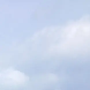 Profile image of かいせい