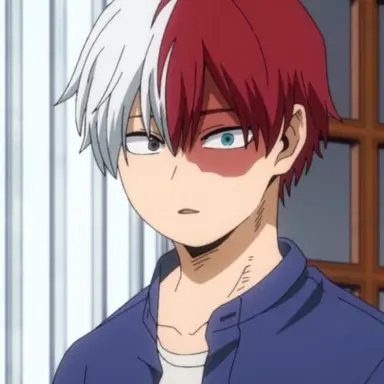 Profile image of Shoto Todoroki