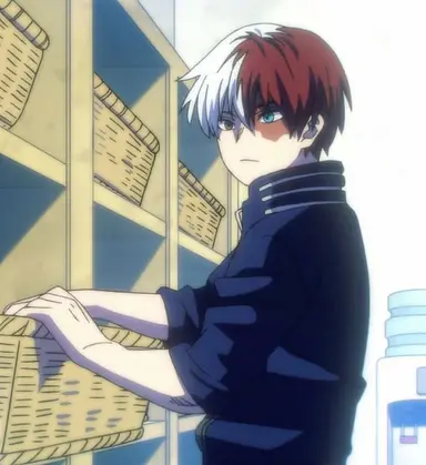 Profile image of Shoto Todoroki