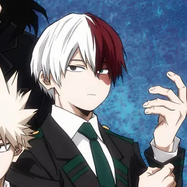 Profile image of Shoto Todoroki