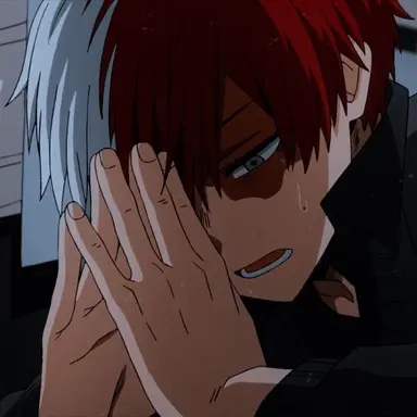 Profile image of Shoto Todoroki