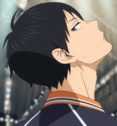 Profile image of 影山飛雄