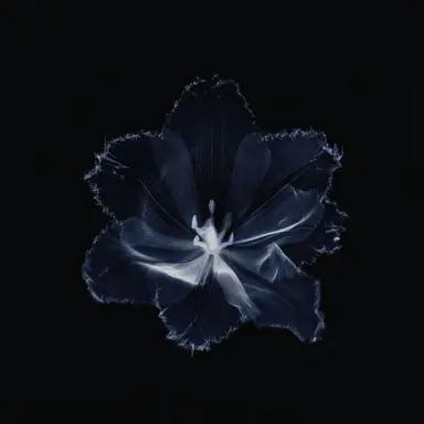 Profile image of 이민호