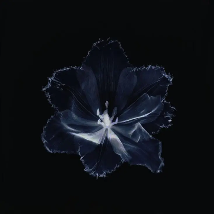 v_i0yce의 이민호