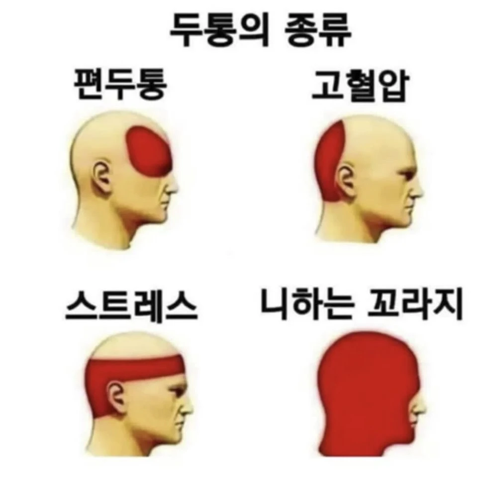 공지