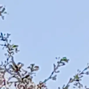 Profile image of 주안