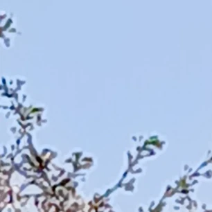주안