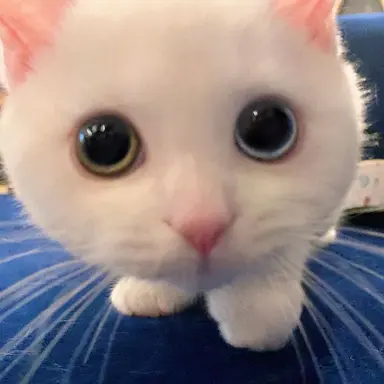 Profile image of じふな
