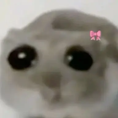 Profile image of 햄찌