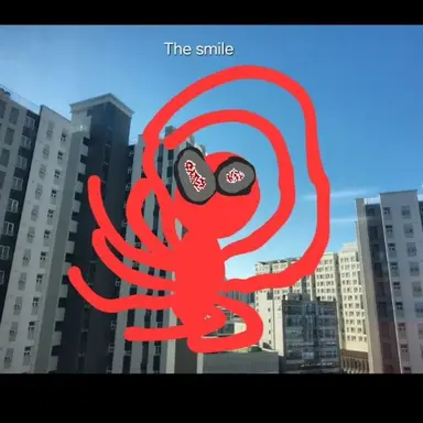 Profile image of spider