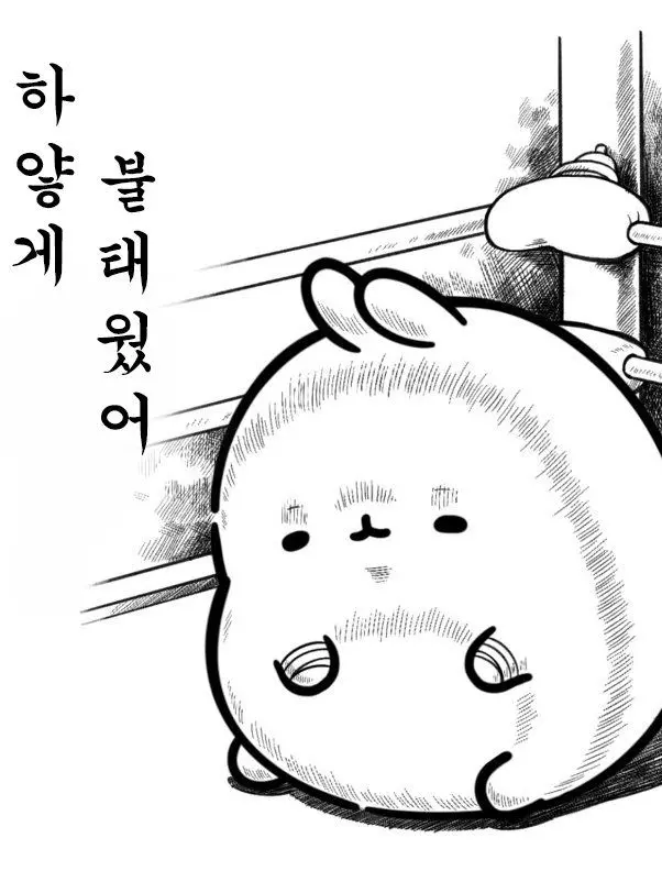 cuttie의 현유리 등장!