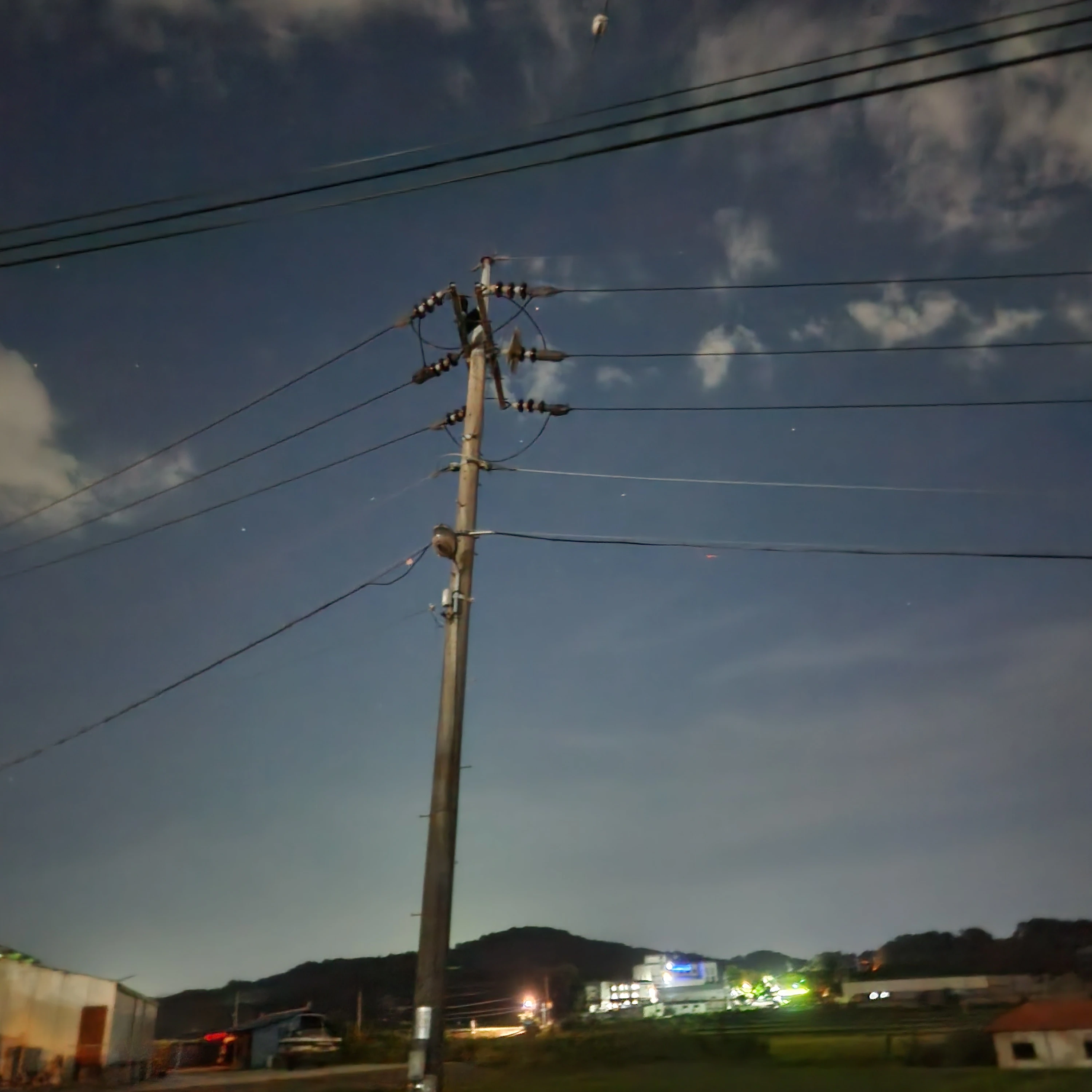 이채령