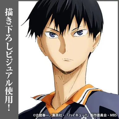 Profile image of 影山飛雄