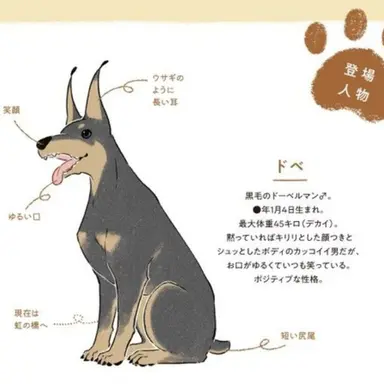Profile image of ドベ