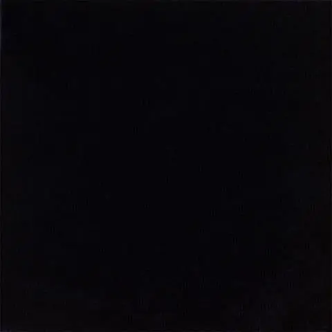 guesswho의 전정국