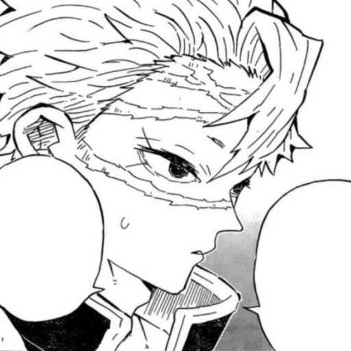 시나즈가와 사네미