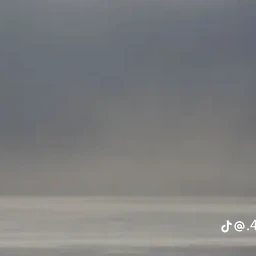 슈팅스타 캐치티니핑