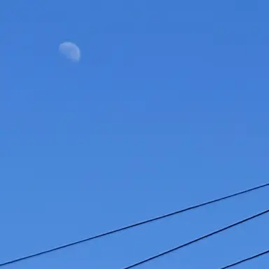 Profile image of ノア
