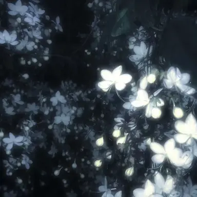 Profile image of 김수현