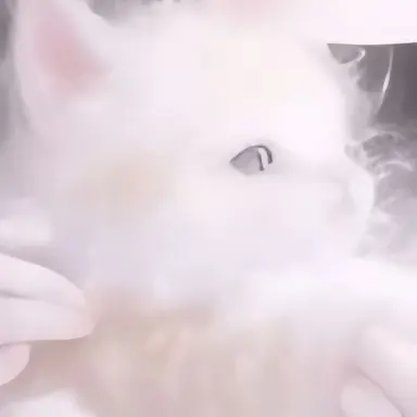 Profile image of 콩콩