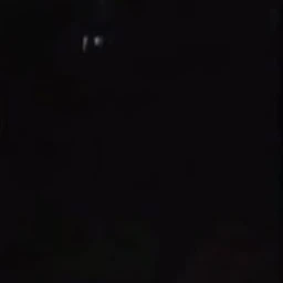 윤동희