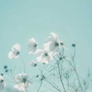 Profile image of 凜