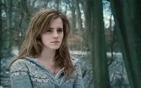 ShinyGar9450의 Hermoine J Granger
