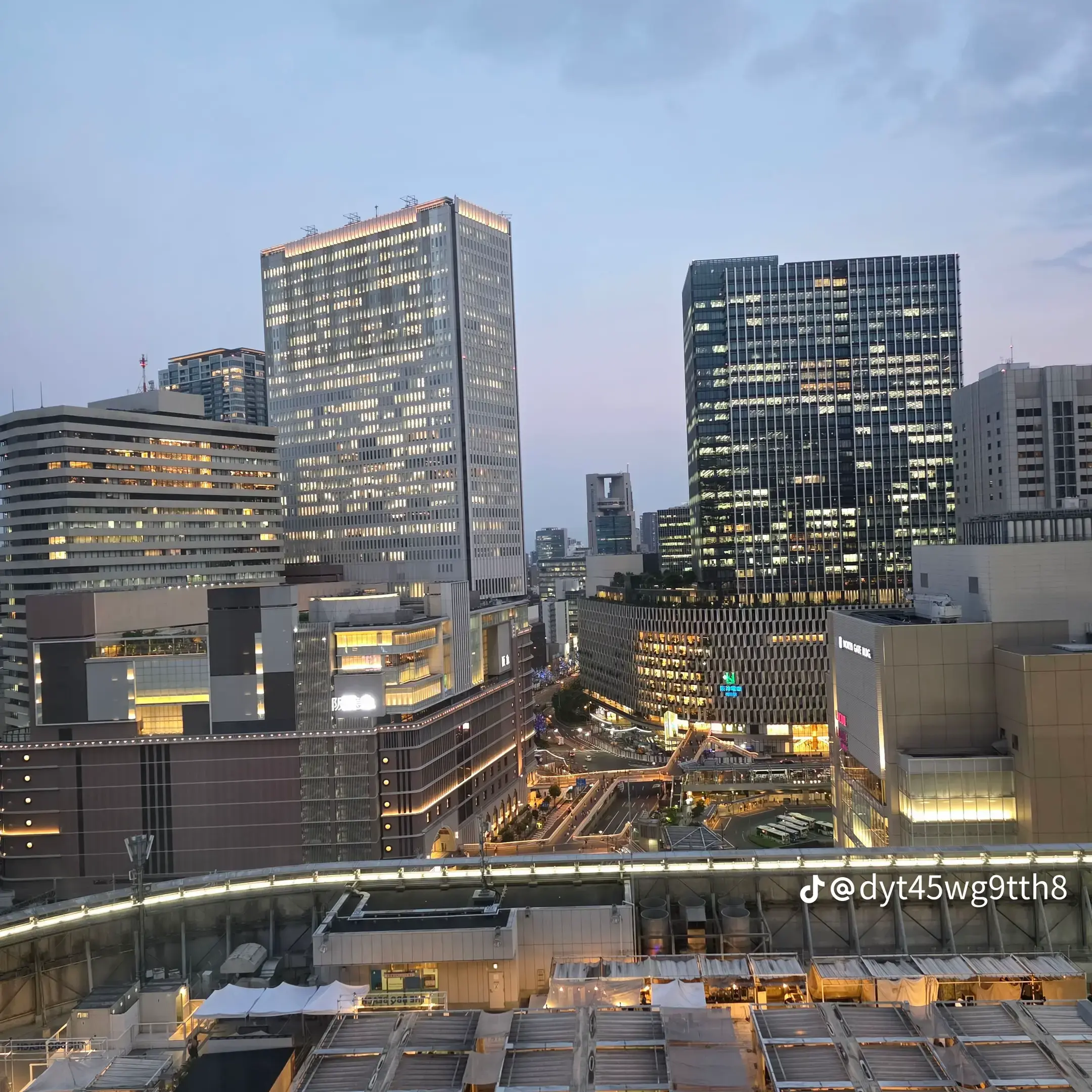 SlickOboe3157의 픽셀 조직(+여우)