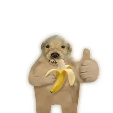 Profile image of 이동혁