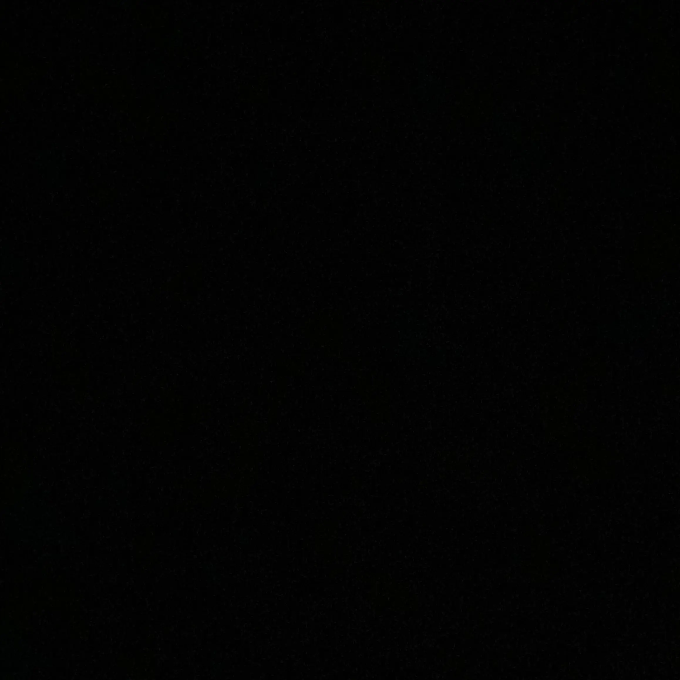 hona의 아이돌