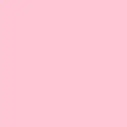Profile image of ないこ