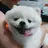평학