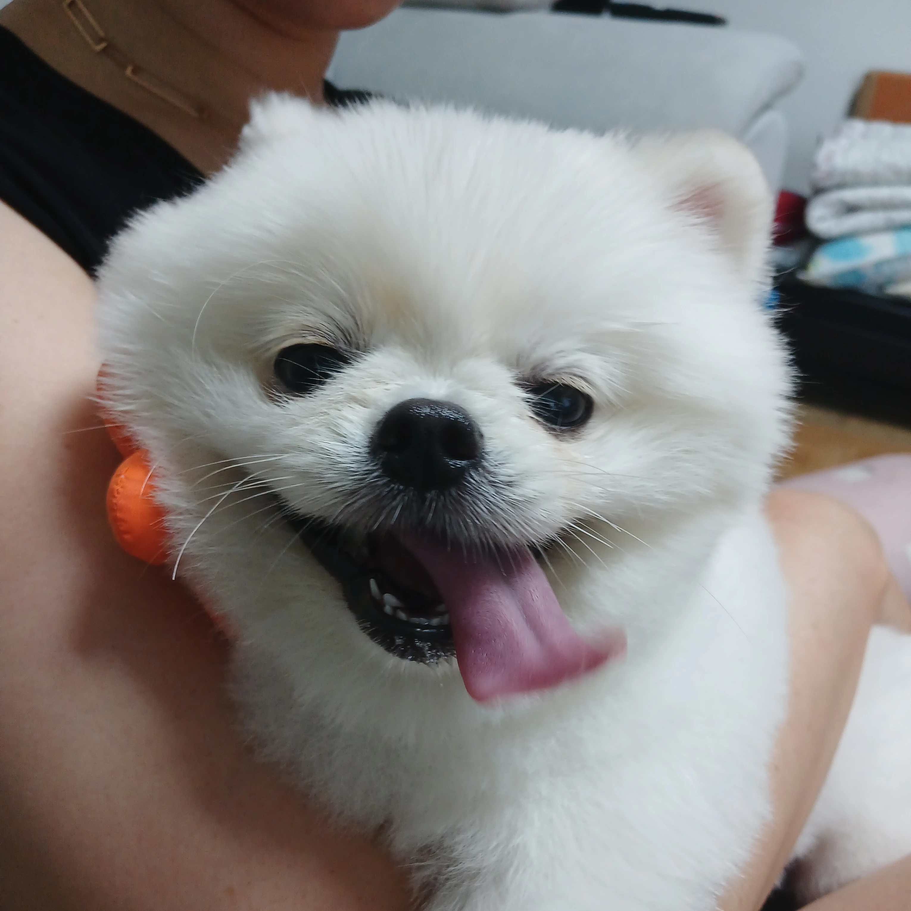 평학