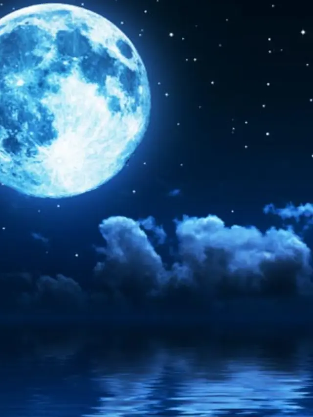 YUTOTO.NEKOLOVE.의 貴方は私の天使だ。
