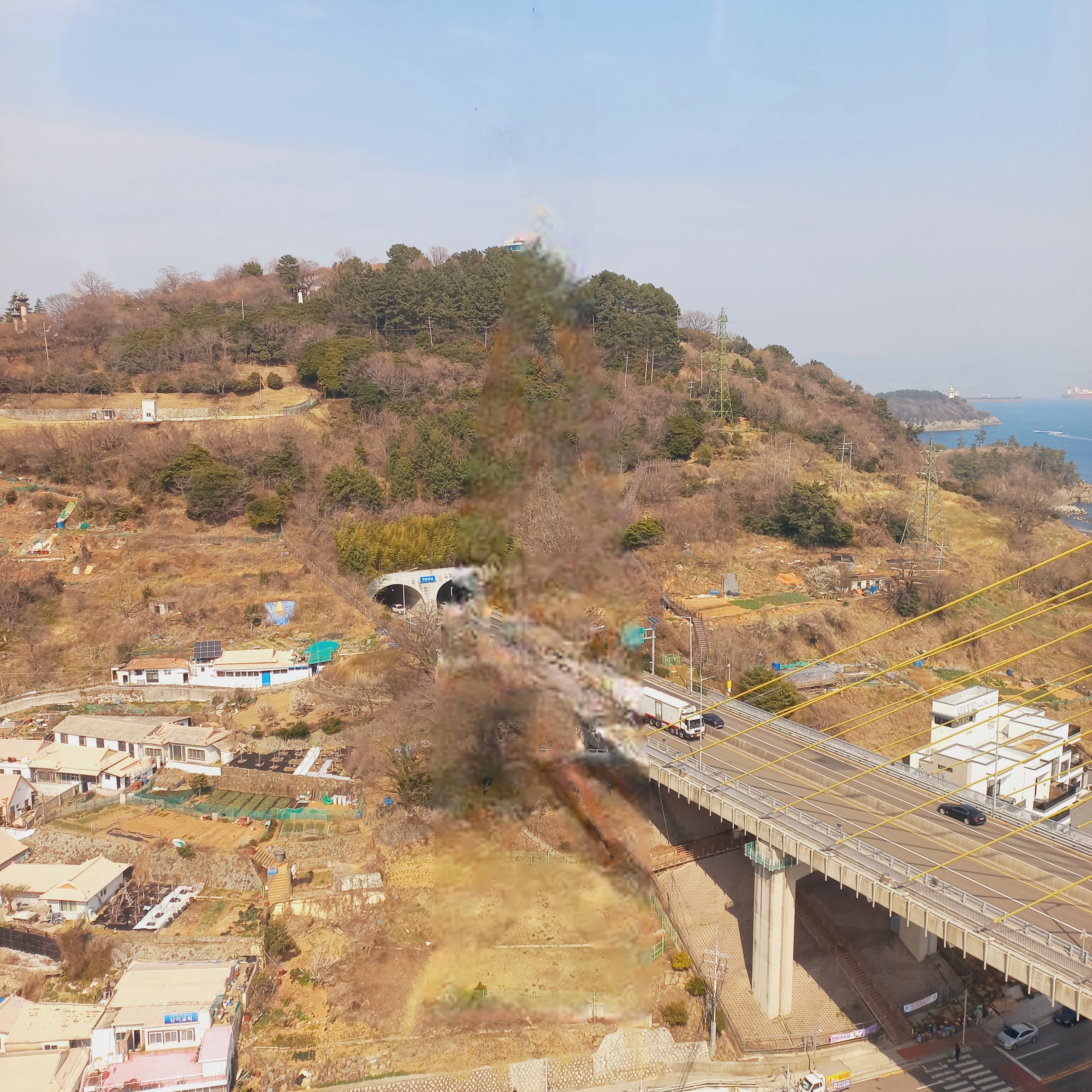여우