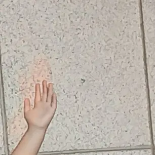 HazyRival7920의 고양이(모피)연구실에서 탈출 하세요!