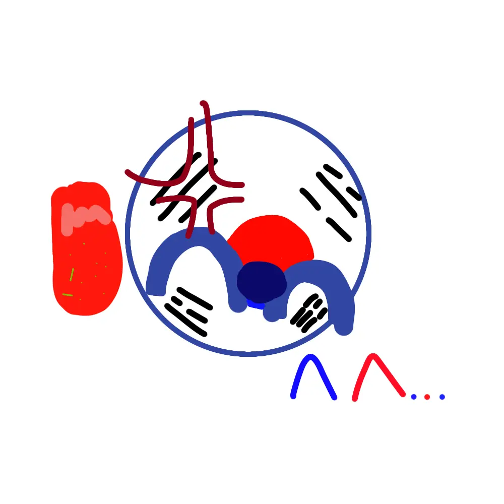 MAROMEIO의 개빡친 한국이