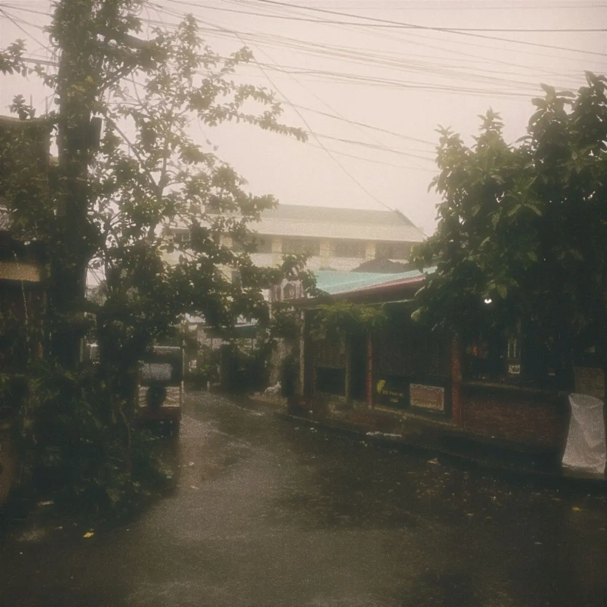 Seong-ji_wife의 천량산에 괴물...??