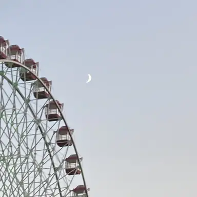 Profile image of そんふに