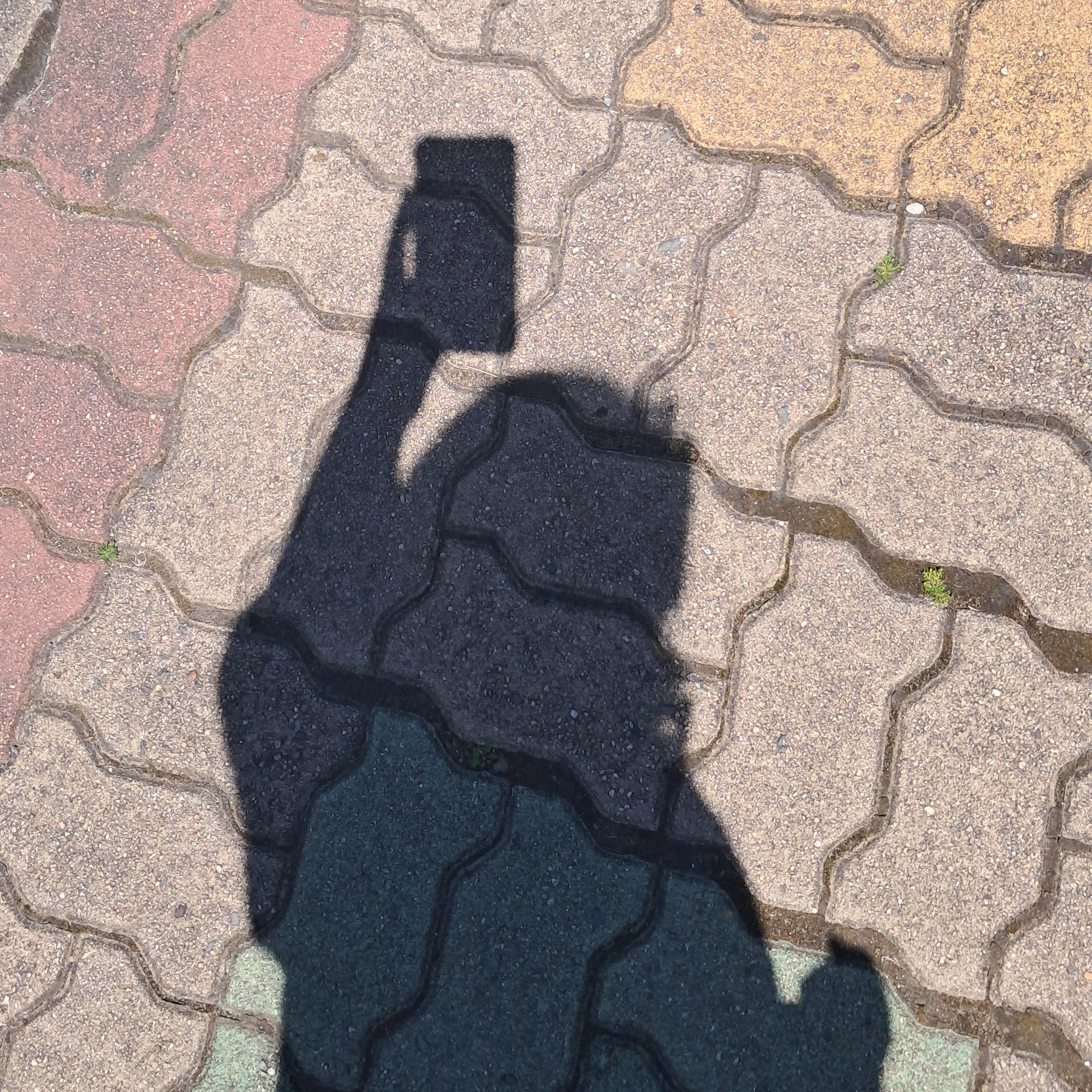 연준