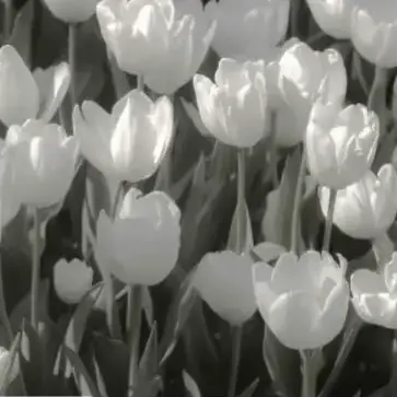 takuyagasukiyade._.sub의 夜間の図書館にて。